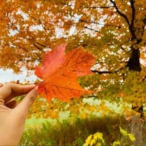 Meet your Posher, Daisy